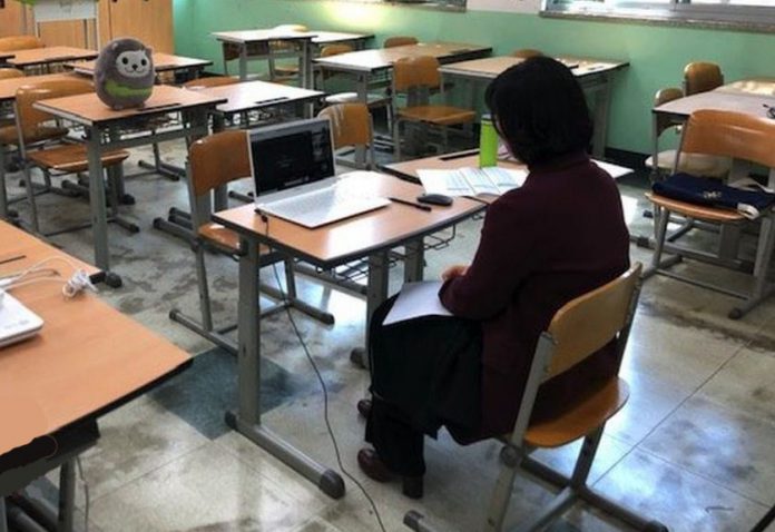 _111729319_15663013-220f-437b-98e4-f7f7c8975294