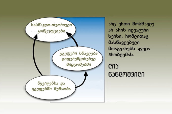 nandoshvili-diferencirebuli