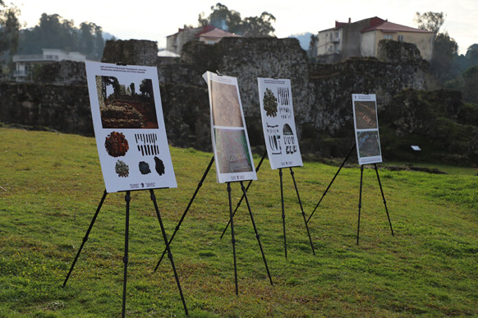 422441095_783996720439421_9098342913161557192_n