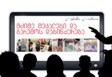 მძიმე მეტალები და გარემოს დაბინძურება – ინოვაციური მიდგომა სწავლებასა და ცნობიერების ამაღლებაში