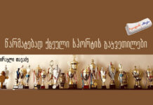 წარმატებად ქცეული სპორტის გაკვეთილები