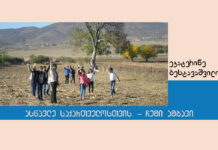 ახალი გამოწვევის პირისპირ